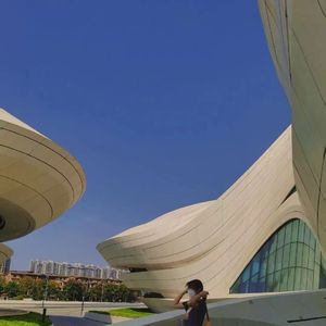 恶德医生和产妇人科医师
